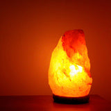 New Himalayan Salt Lamp Crystal Rock Shape Natural Pink Night Light Kit 2-5kg