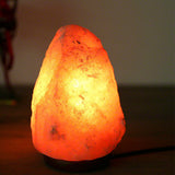 New Himalayan Salt Lamp Crystal Rock Shape Natural Pink Night Light Kit 2-5kg