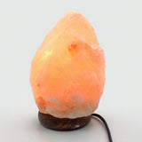 New Himalayan Salt Lamp Crystal Rock Shape Natural Pink Night Light Kit 2-5kg