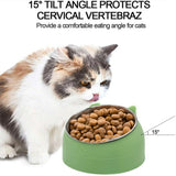 200ml Pet Cat Dog Bowl Tilted Food Water Feeder No Slip Raised Stainless Steel