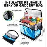 2 Pcs Portable Insulated Bag Cooler - 34cm x 27cm x 30cm Beach Picnic Cooler Bag