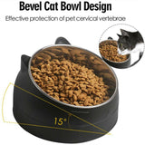 200ml Pet Cat Dog Bowl Tilted Food Water Feeder No Slip Raised Stainless Steel