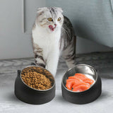 200ml Pet Cat Dog Bowl Tilted Food Water Feeder No Slip Raised Stainless Steel