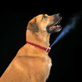 Automatic Humane Citronella Anti Bark Spray Collar Stop Dog Training No Barking