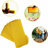 Honeycomb Foundation Sheet Wax Frames Beekeeping Honey Bee Hive Equipment 30PCS