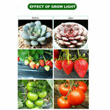 225LED 2000W Grow Light Hydroponic Kits Growing Plant Veg Flower Indoor Lamp