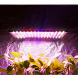 225LED 2000W Grow Light Hydroponic Kits Growing Plant Veg Flower Indoor Lamp