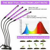 4 Head 80 LED 40W Plant Lamp Grow Light Growing Vegetables Flowers Indoor Clip