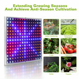 225LED 2000W Grow Light Hydroponic Kits Growing Plant Veg Flower Indoor Lamp