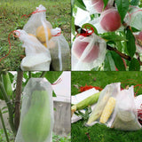 50-100pcs Agriculture Garden Fruit Vegetable Protection Exclusion Mesh Net Bags