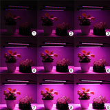 4 Head 80 LED 40W Plant Lamp Grow Light Growing Vegetables Flowers Indoor Clip