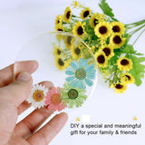 2pcs Coaster Cup Mat Mold Round Square Silicone Mould DIY Epoxy Resin Casting