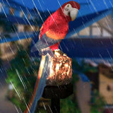 Decor Lamp Solar Torch Led Parrot Light Waterproof Garden Yard Lantern Bird Path