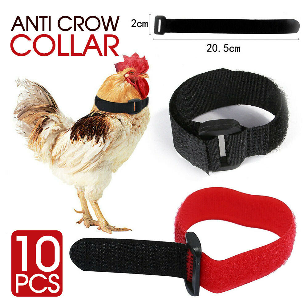 10PCS Anti Crow Collar for Roosters Cockerel No Crow Noise Neck Belt N ...