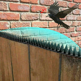 12pc Bird Spikes Human Cat Possum Mouse Pest Control Spiked Fence Wall