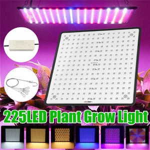 225LED 2000W Grow Light Hydroponic Kits Growing Plant Veg Flower Indoor Lamp