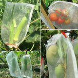 50-100pcs Agriculture Garden Fruit Vegetable Protection Exclusion Mesh Net Bags