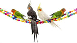 10X Pet Colorful Parrot Bird Rope Cage Perch Bungee Hanging Swing Ladder Toys