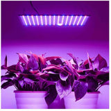 225LED 2000W Grow Light Hydroponic Kits Growing Plant Veg Flower Indoor Lamp