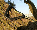 1.3M Rubber Snakes Realistic Trick Simulation Whimsy Fake Garden Pretend Toy
